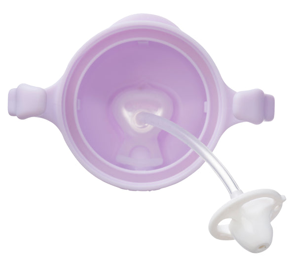 BBOX SIPPY CUP - BOYSENBERRY